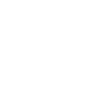 Company Icon - AARD
