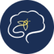 Company Icon - AIFF