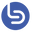 Company Icon - BDMD