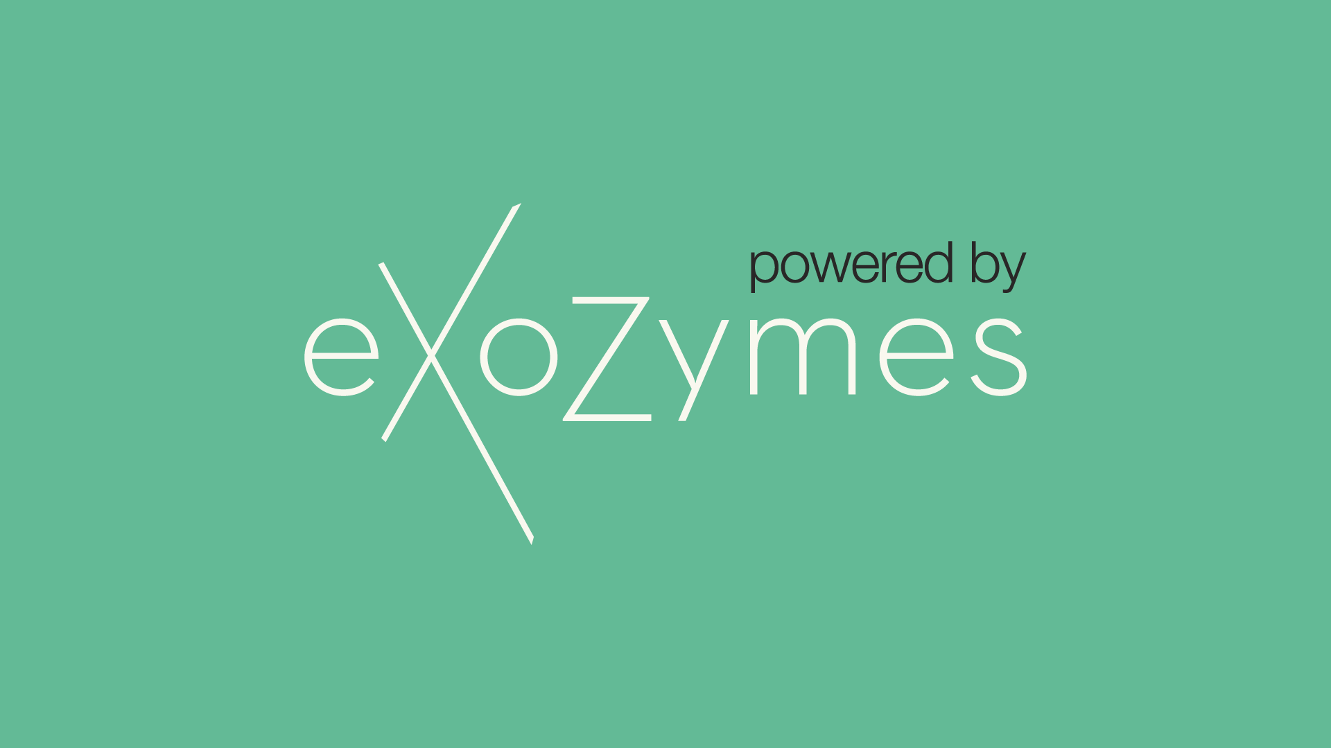 Company Icon - EXOZ
