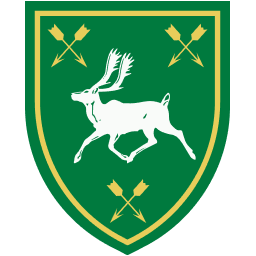 Company Icon - HVII