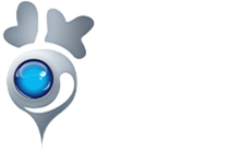 Company Icon - LOBO