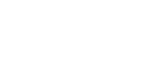 Company Icon - NVNI
