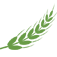 Company Icon - SDOT