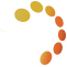 Company Icon - SLSN